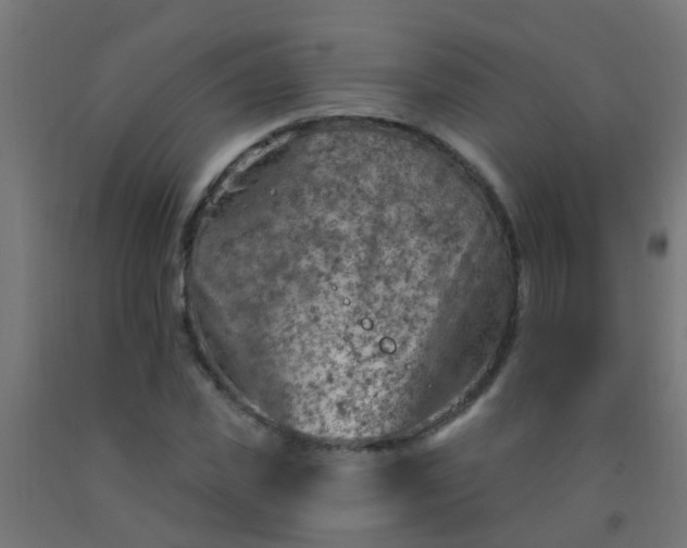 X0000092300925200709281323