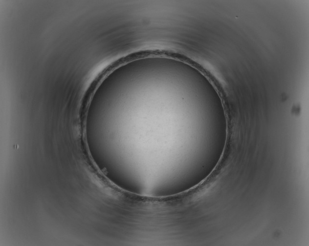 X0000092300927200709281323