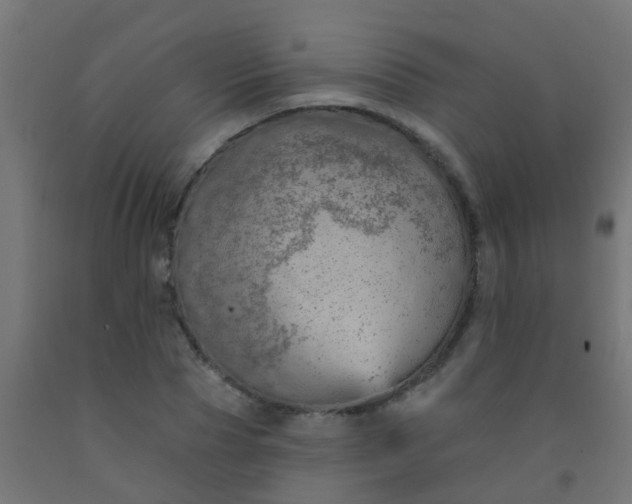 X0000092300929200709281323