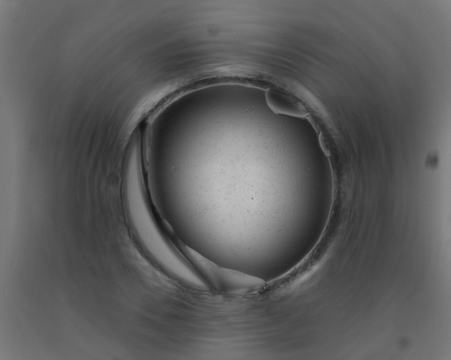 X0000092300930200709281323