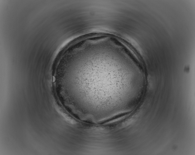 X0000092300931200709281323