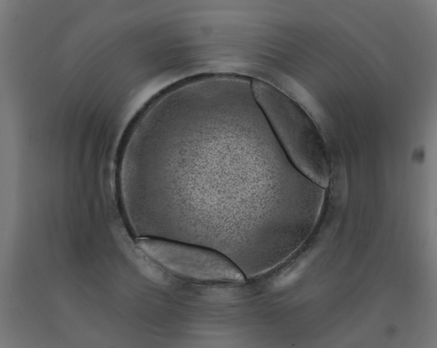 X0000092300932200709281323