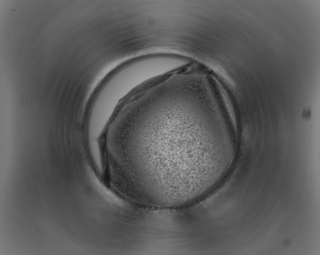 X0000092300934200709281323