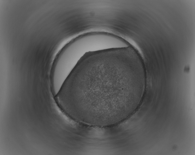 X0000092300935200709281323