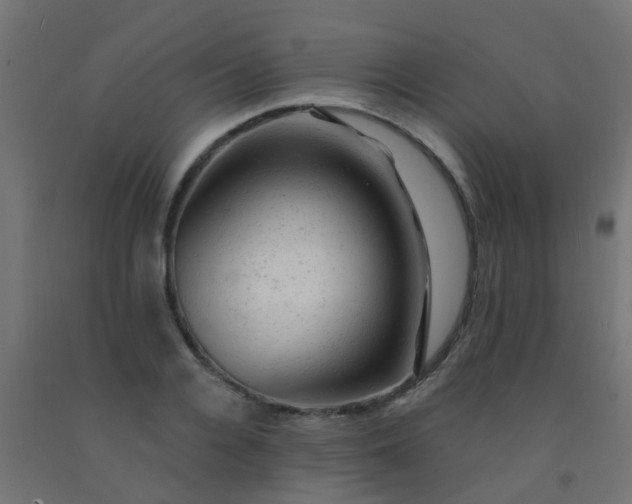 X0000092300936200709281323