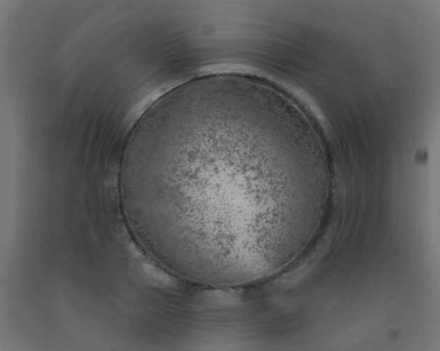 X0000092300937200709281323