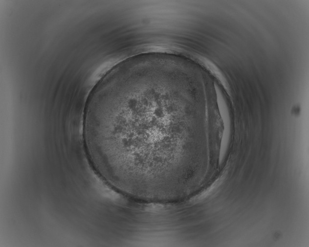 X0000092300938200709281323