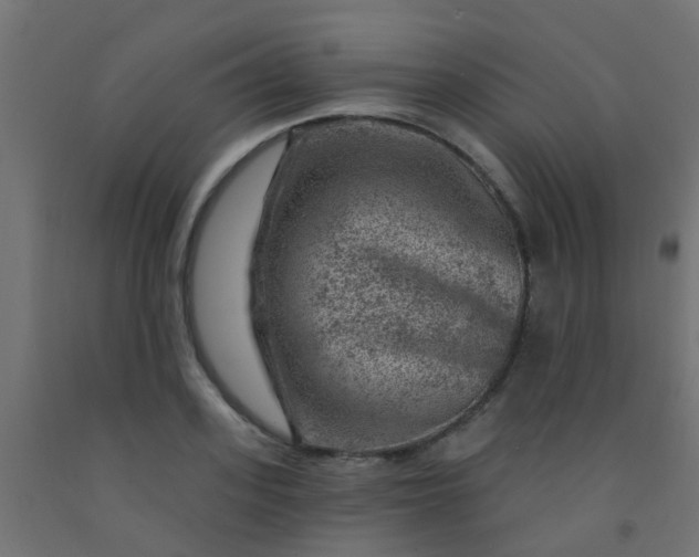 X0000092300939200709281323