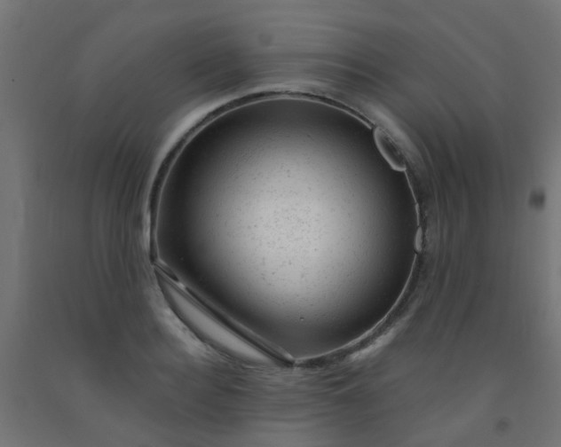 X0000092300940200709281323