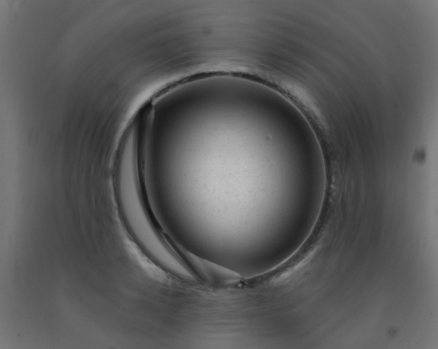 X0000092300942200709281323