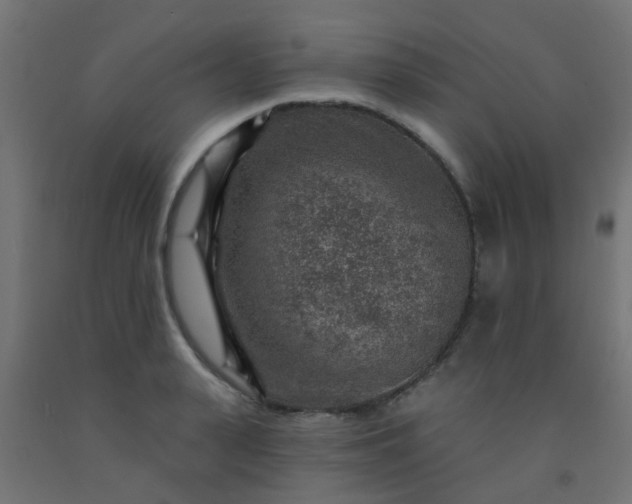 X0000092300943200709281323