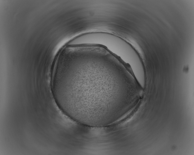 X0000092300944200709281323