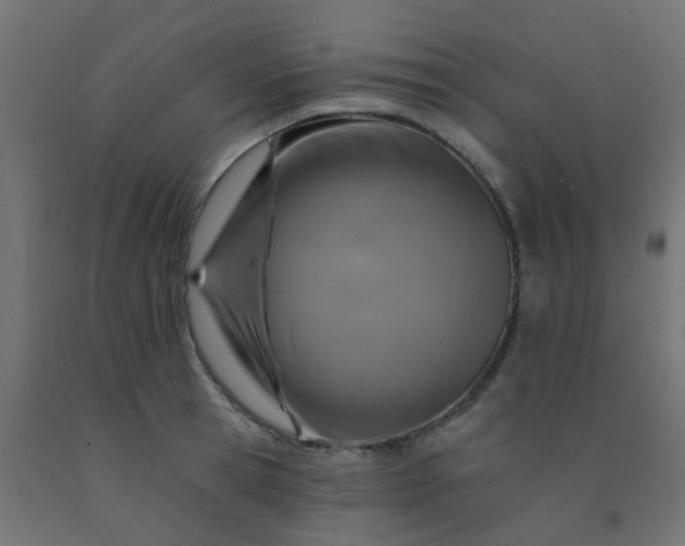 X0000092300945200709281323