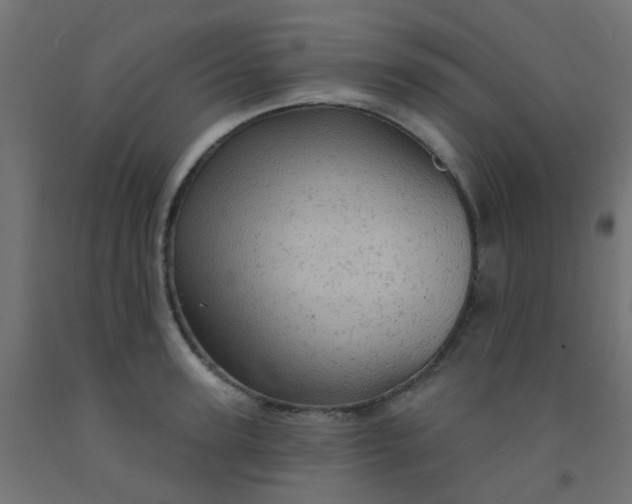 X0000092300947200709281323