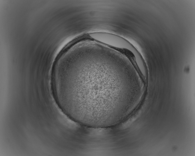 X0000092300949200709281323