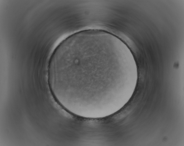 X0000092300950200709281323