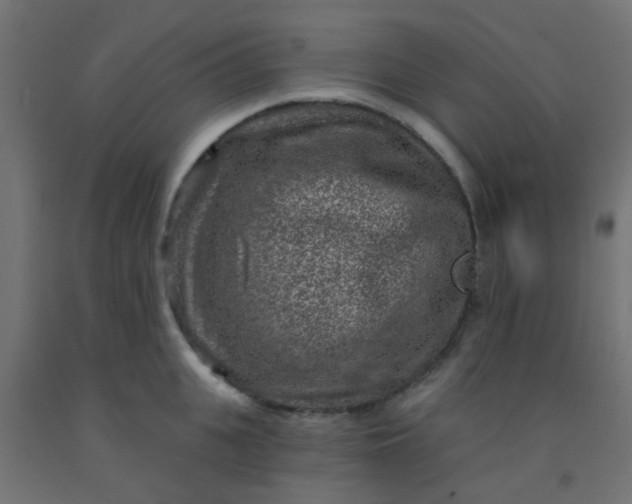 X0000092300951200709281323