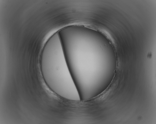 X0000092300952200709281323