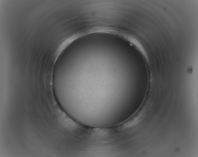 X0000092300954200709281323