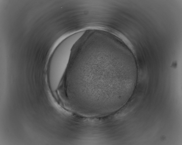 X0000092300955200709281323