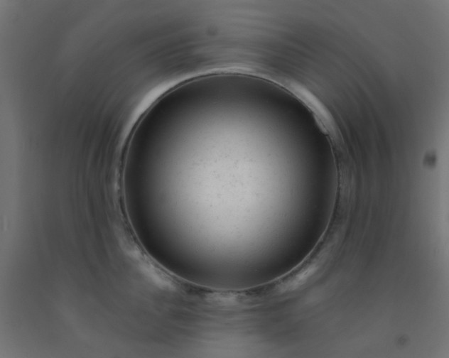 X0000092300956200709281323