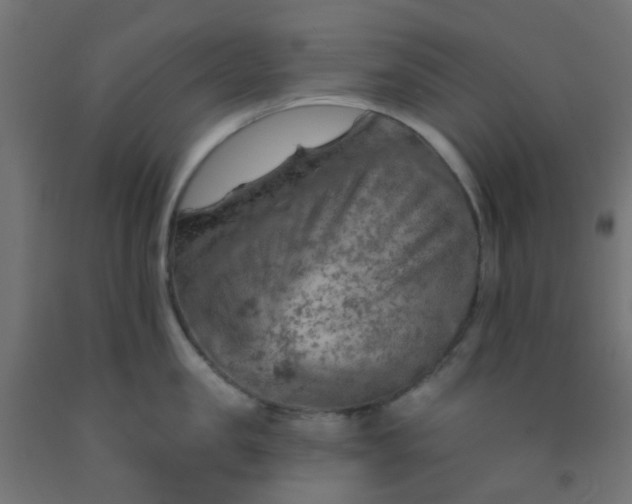 X0000092300957200709281323