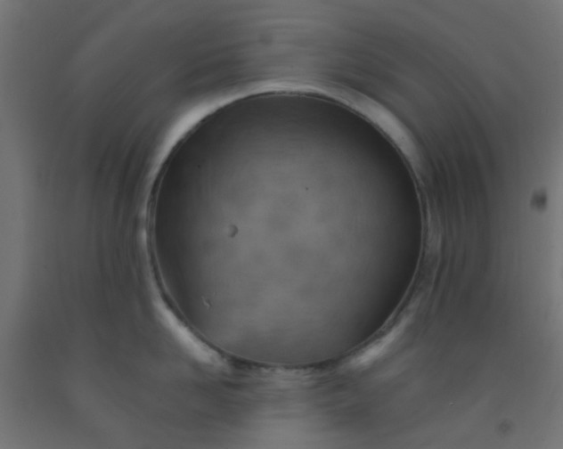 X0000092300958200709281323