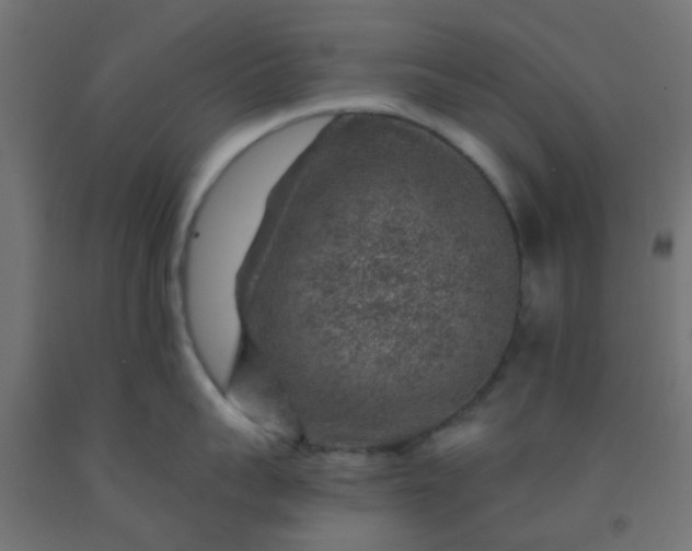 X0000092300959200709281323