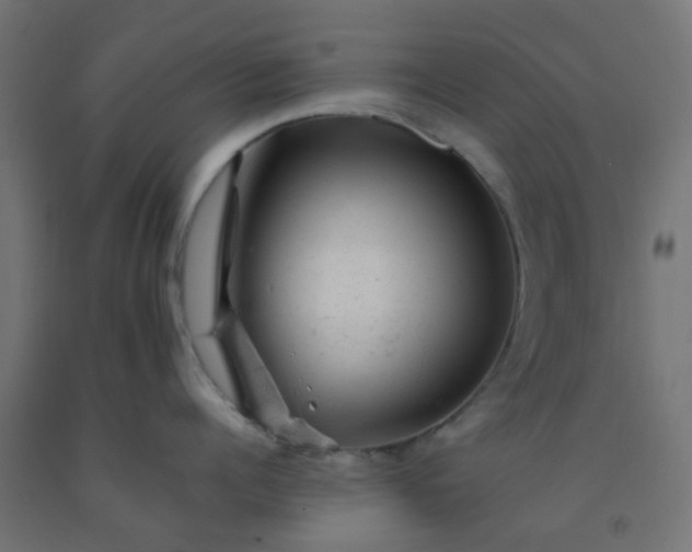 X0000092300960200709281323