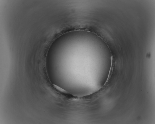 X0000092300961200709281323