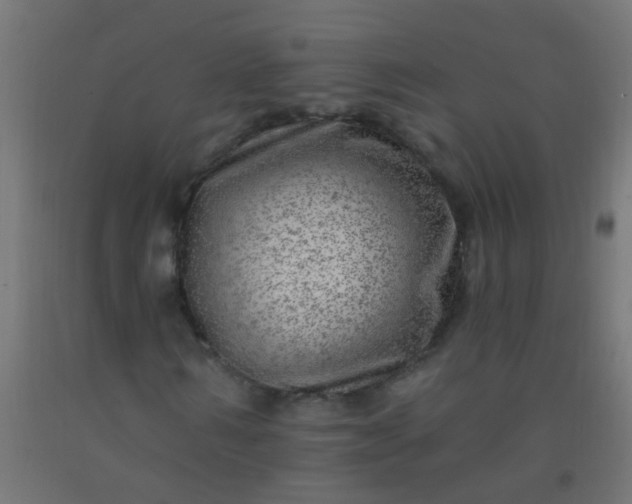 X0000092300962200709281323