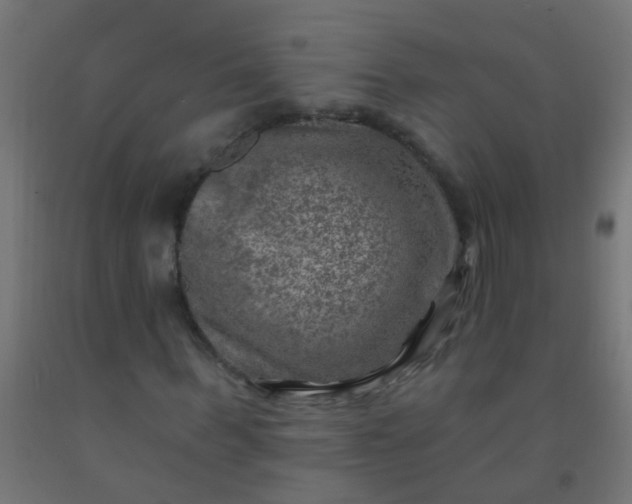 X0000092300963200709281323