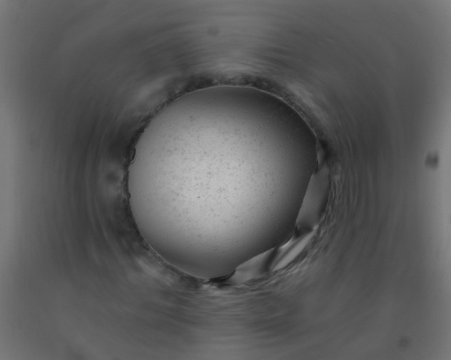 X0000092300964200709281323