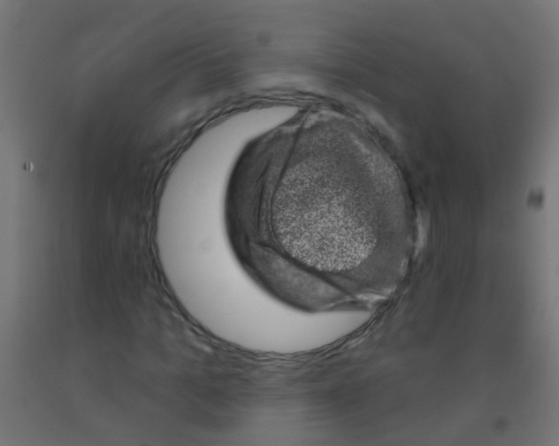 X0000092300965200709281323