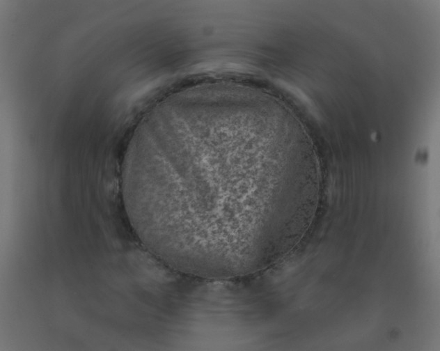 X0000092300966200709281323