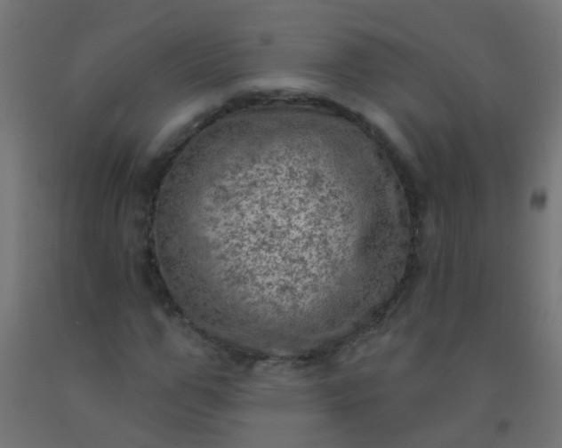 X0000092300967200709281323