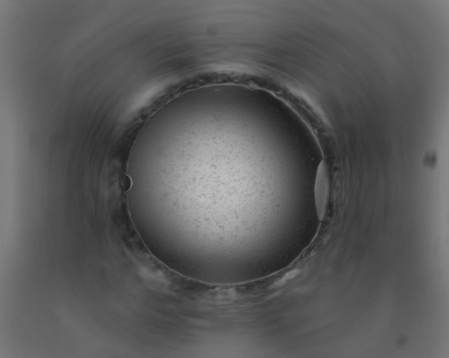 X0000092300968200709281323