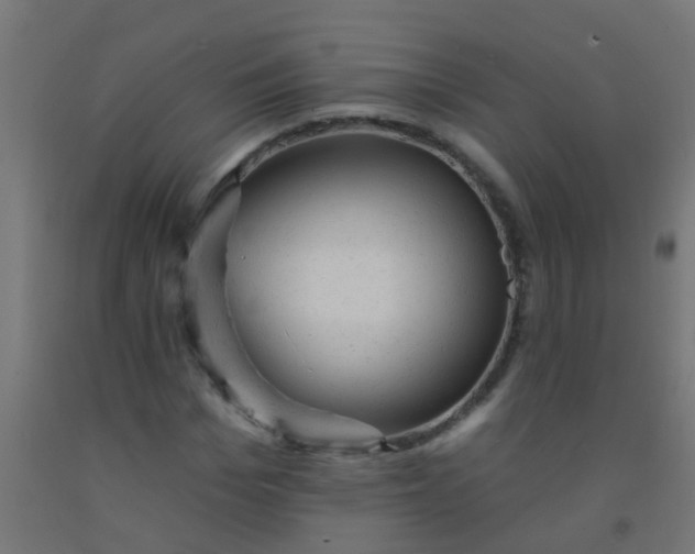 X0000092300969200709281323