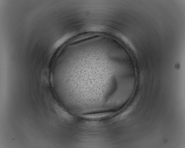 X0000092300970200709281323