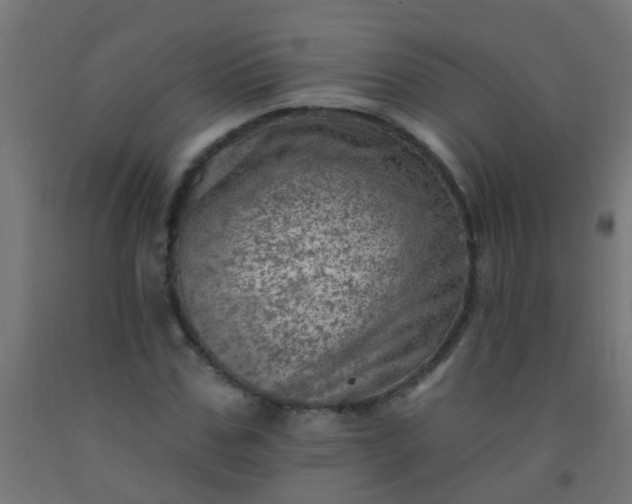 X0000092300971200709281323