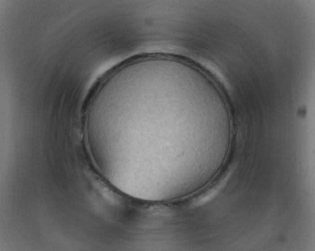 X0000092300974200709281323