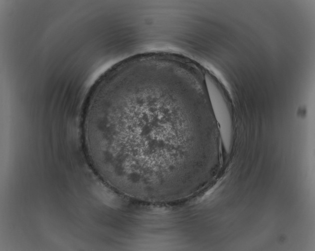 X0000092300975200709281323