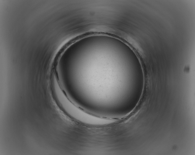 X0000092300976200709281323