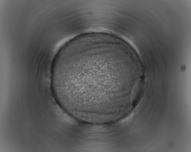 X0000092300979200709281323