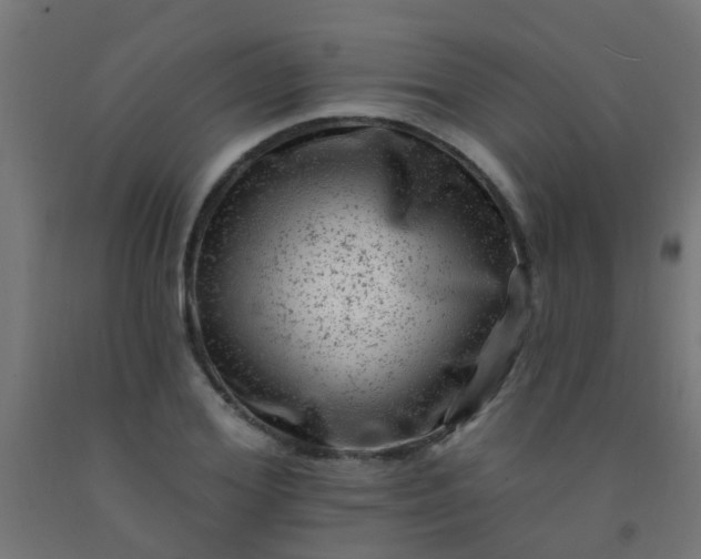 X0000092300980200709281323