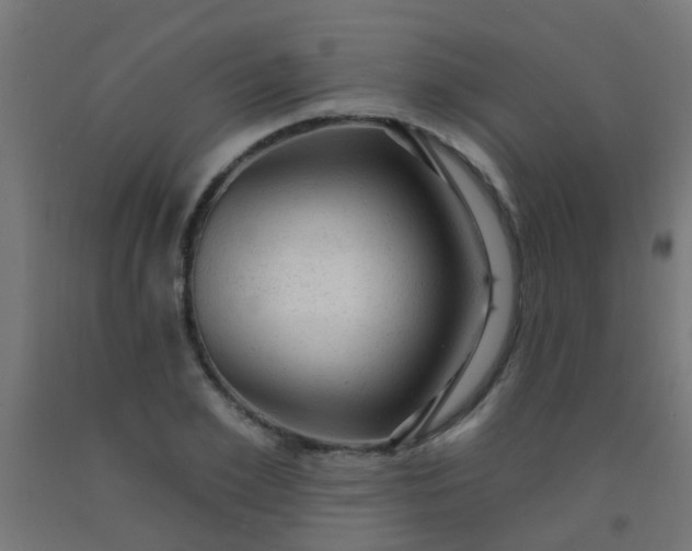 X0000092300981200709281323