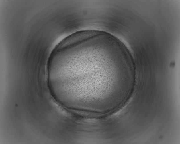 X0000092300982200709281322