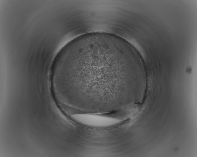 X0000092300983200709281322