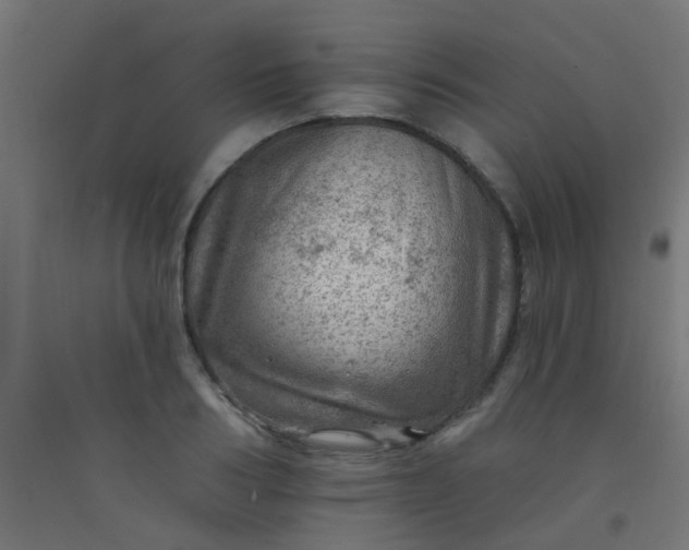 X0000092300986200709281322