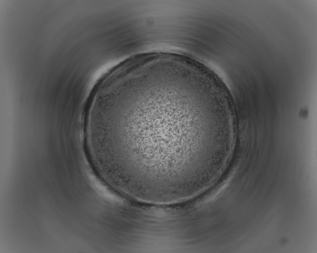 X0000092300987200709281322